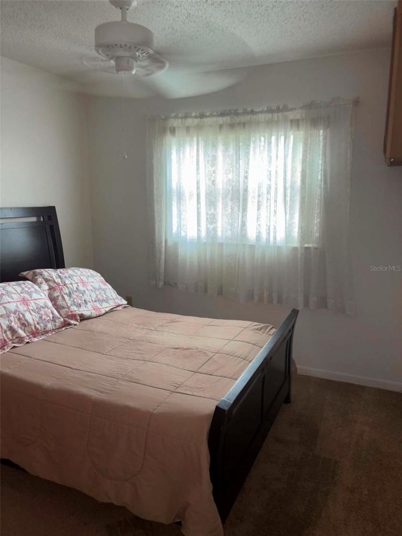 919 Cr 482d, Lake Panasoffkee, FL 33538 Photo