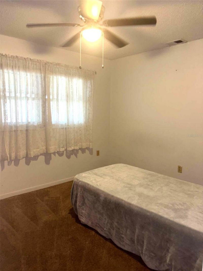 919 Cr 482d, Lake Panasoffkee, FL 33538 Photo