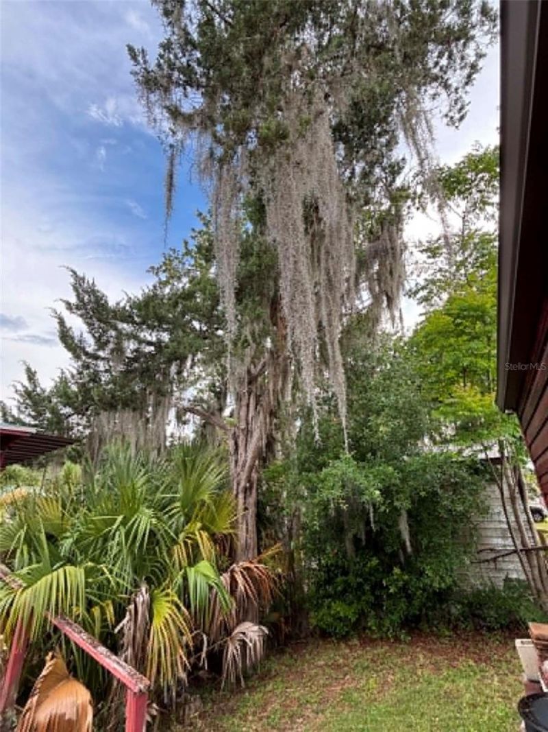 919 Cr 482d, Lake Panasoffkee, FL 33538 Photo