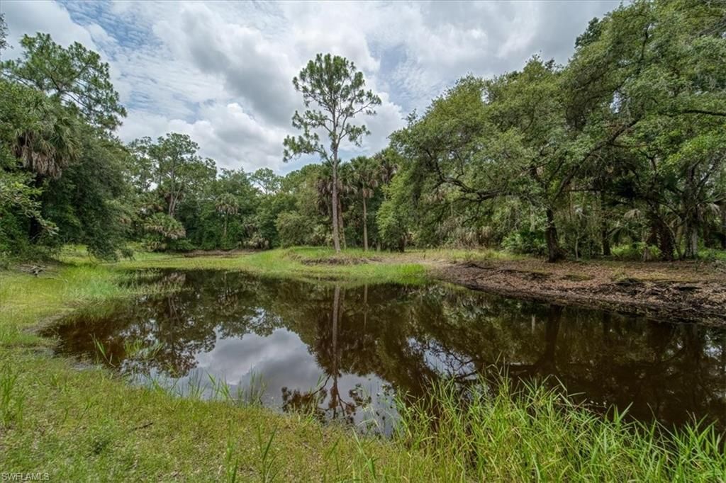 1205 Cr-830, Felda, FL 33930 Photo