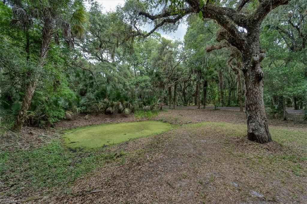 1205 Cr-830, Felda, FL 33930 Photo