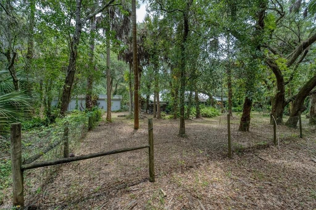 1205 Cr-830, Felda, FL 33930 Photo