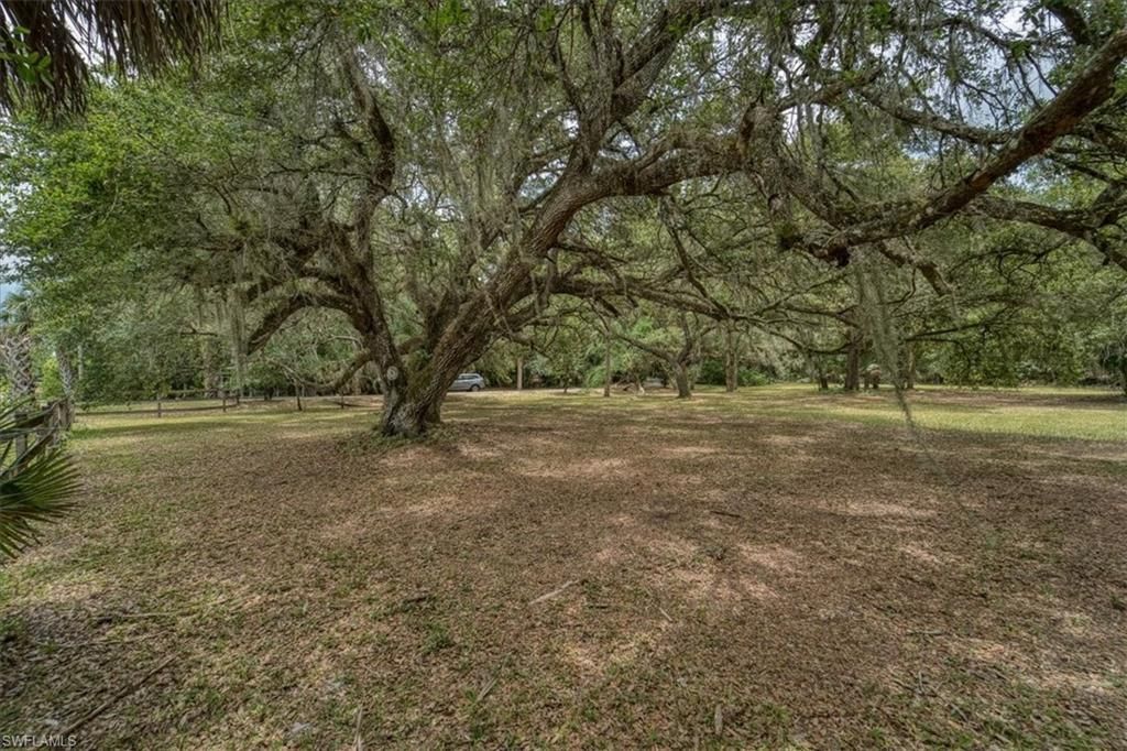1205 Cr-830, Felda, FL 33930 Photo