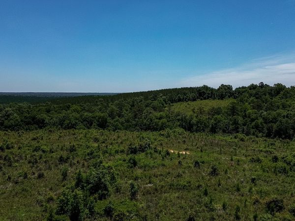 6687 Green Grove Road, Lumpkin, GA 31815