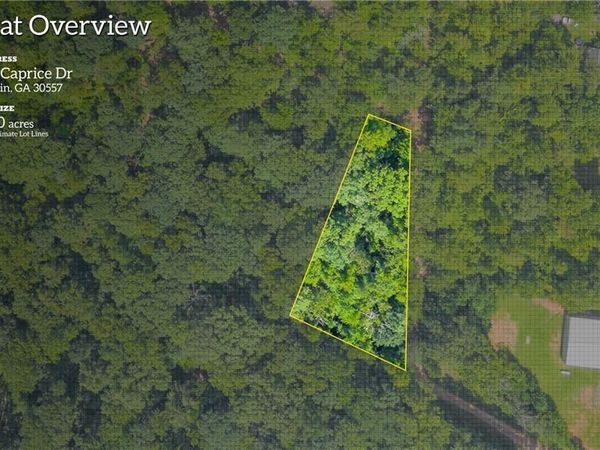 311 Caprice Drive , Martin, GA 30557