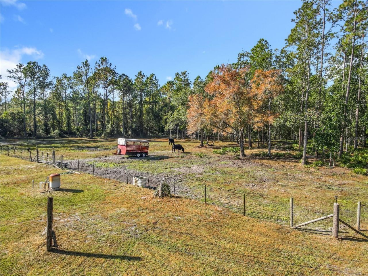 6100 Winning Wood Trail, De Leon Springs, FL 32130 Photo
