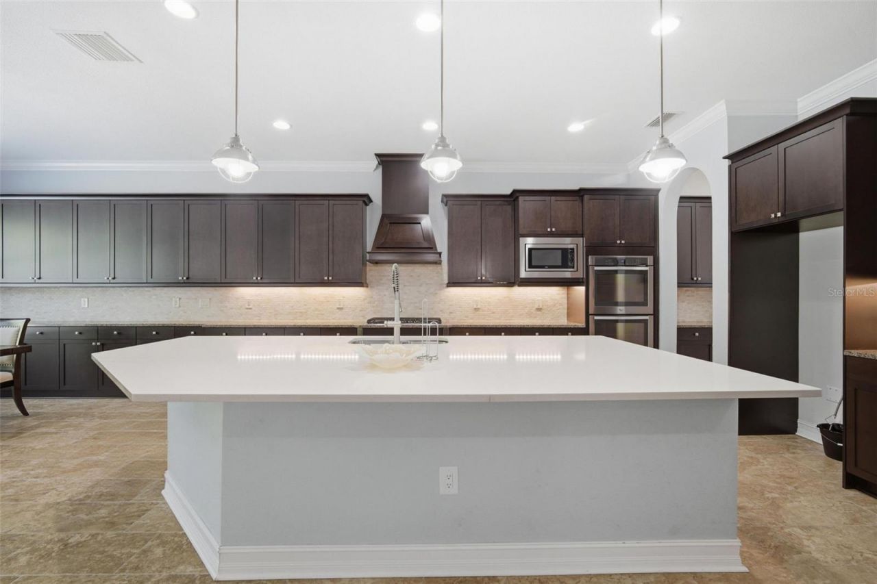 4335 Ortona Lane, Wesley Chapel, FL 33543 Photo