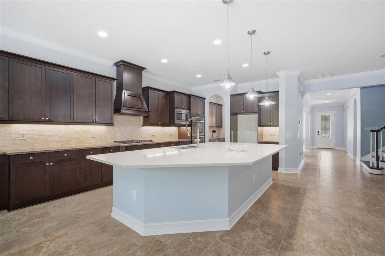 4335 Ortona Lane, Wesley Chapel, FL 33543 Photo
