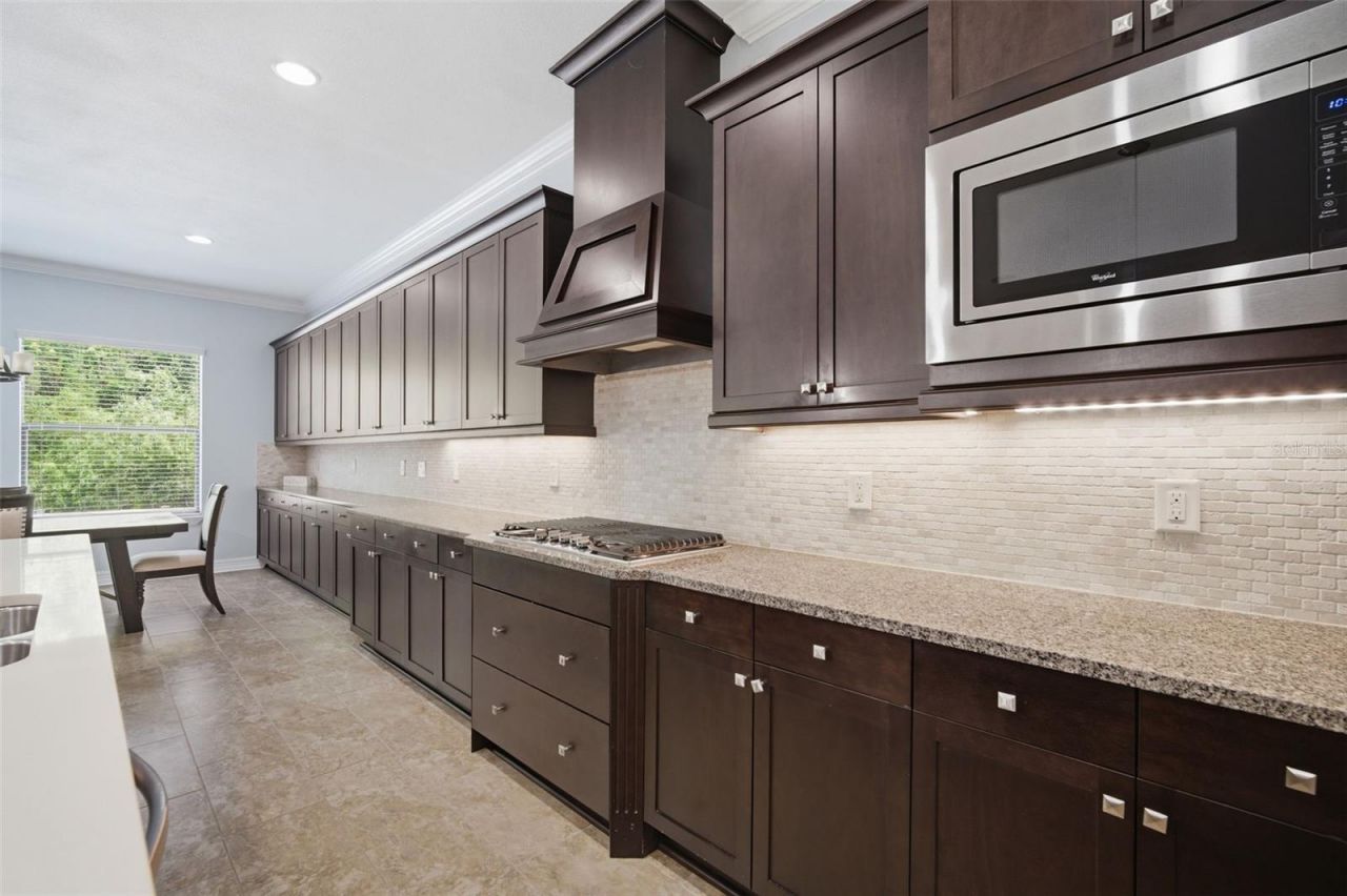 4335 Ortona Lane, Wesley Chapel, FL 33543 Photo