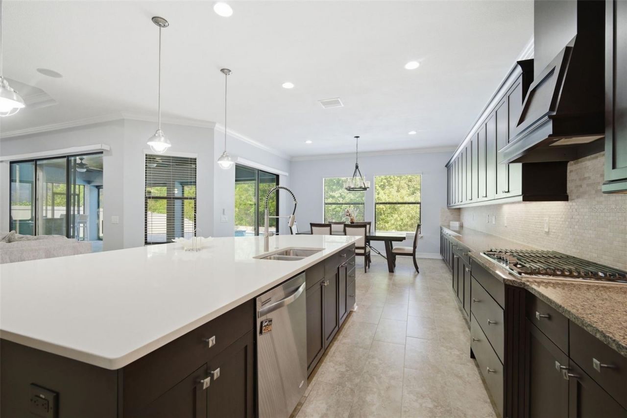 4335 Ortona Lane, Wesley Chapel, FL 33543 Photo