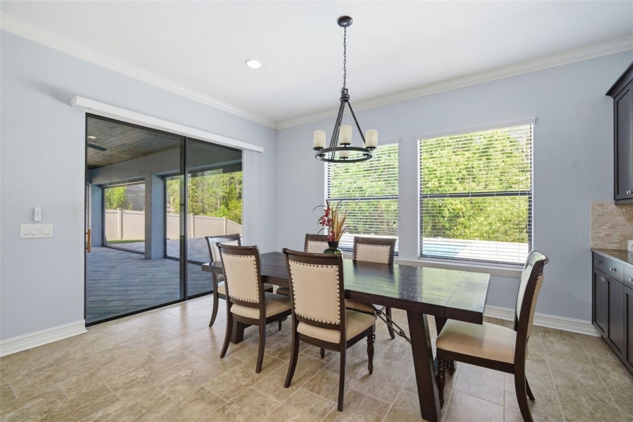4335 Ortona Lane, Wesley Chapel, FL 33543 Photo
