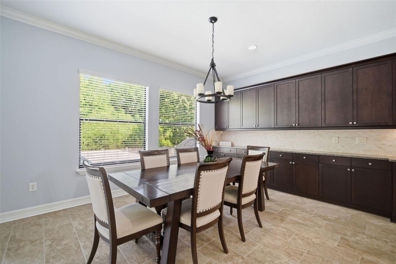 4335 Ortona Lane, Wesley Chapel, FL 33543 Photo