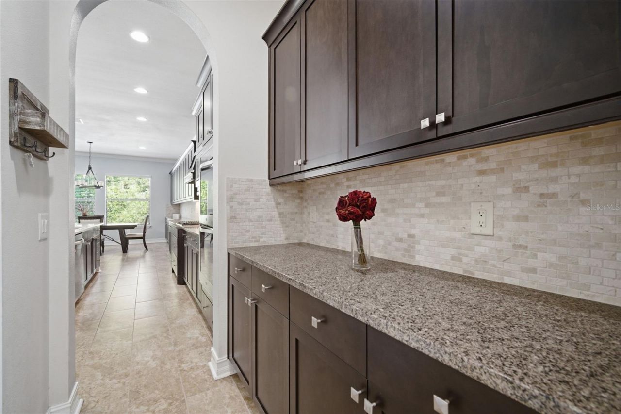 4335 Ortona Lane, Wesley Chapel, FL 33543 Photo