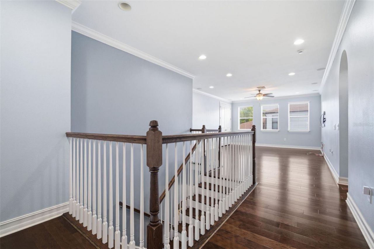 4335 Ortona Lane, Wesley Chapel, FL 33543 Photo