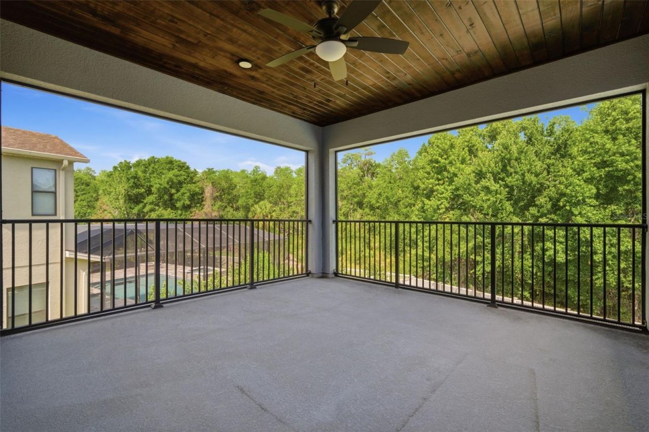 4335 Ortona Lane, Wesley Chapel, FL 33543 Photo