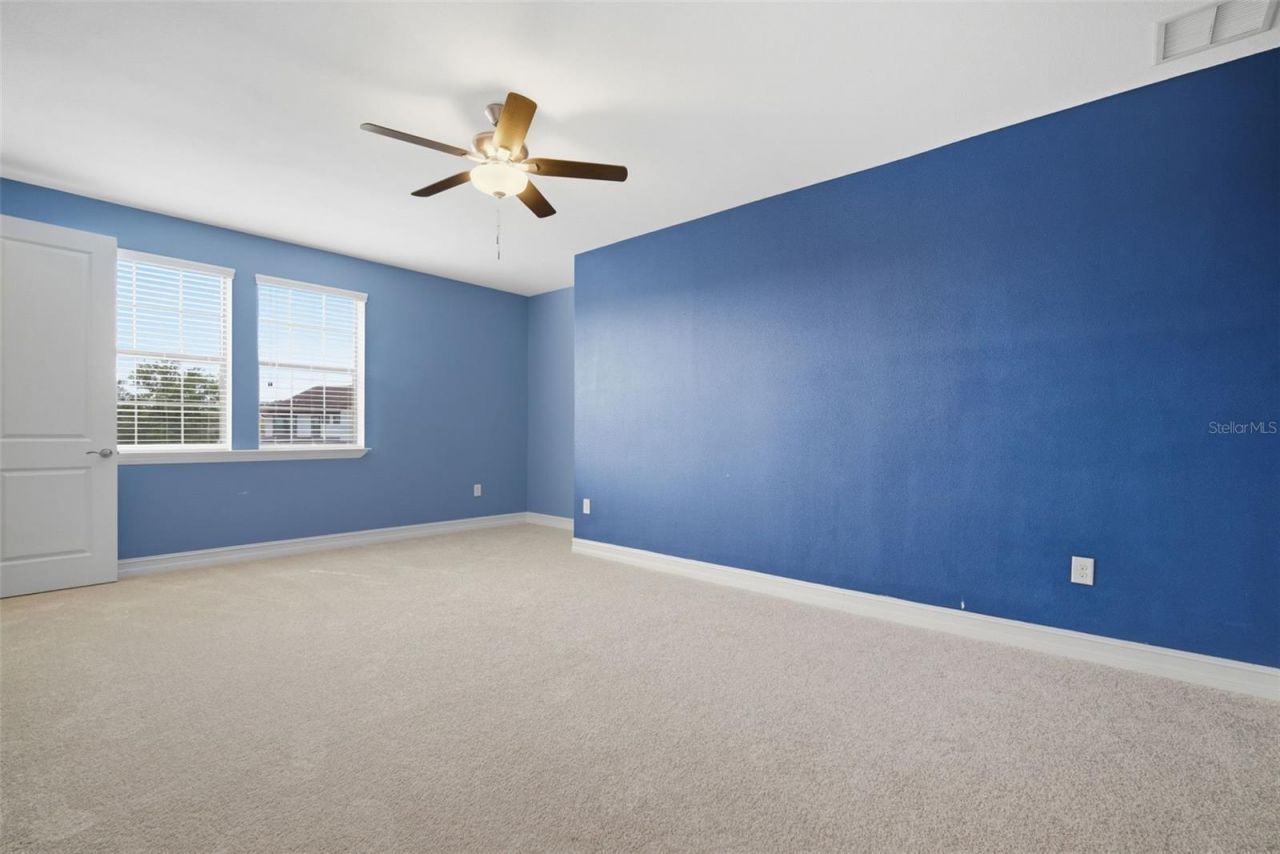 4335 Ortona Lane, Wesley Chapel, FL 33543 Photo