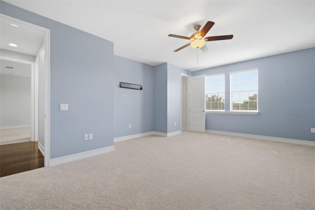 4335 Ortona Lane, Wesley Chapel, FL 33543 Photo