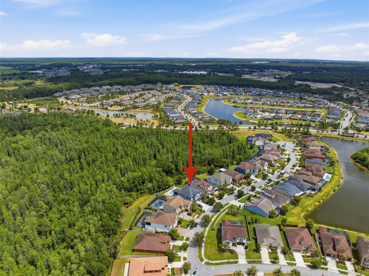 4335 Ortona Lane, Wesley Chapel, FL 33543 Photo
