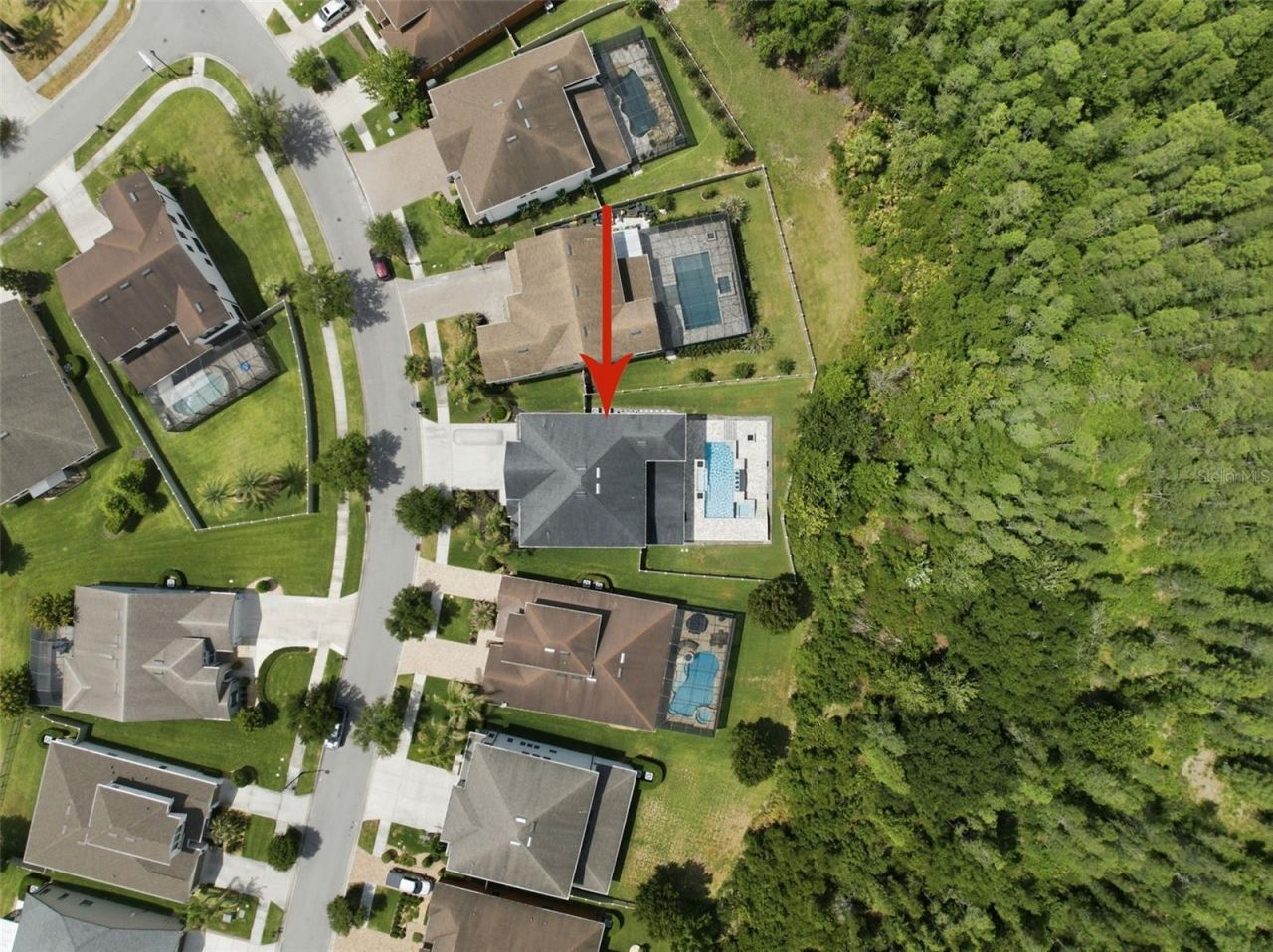 4335 Ortona Lane, Wesley Chapel, FL 33543 Photo
