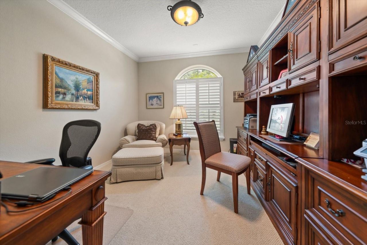 3926 Saywood Court, Palm Harbor, FL 34685 Photo