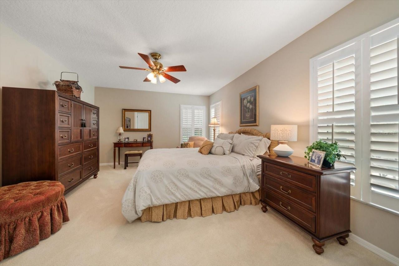 3926 Saywood Court, Palm Harbor, FL 34685 Photo