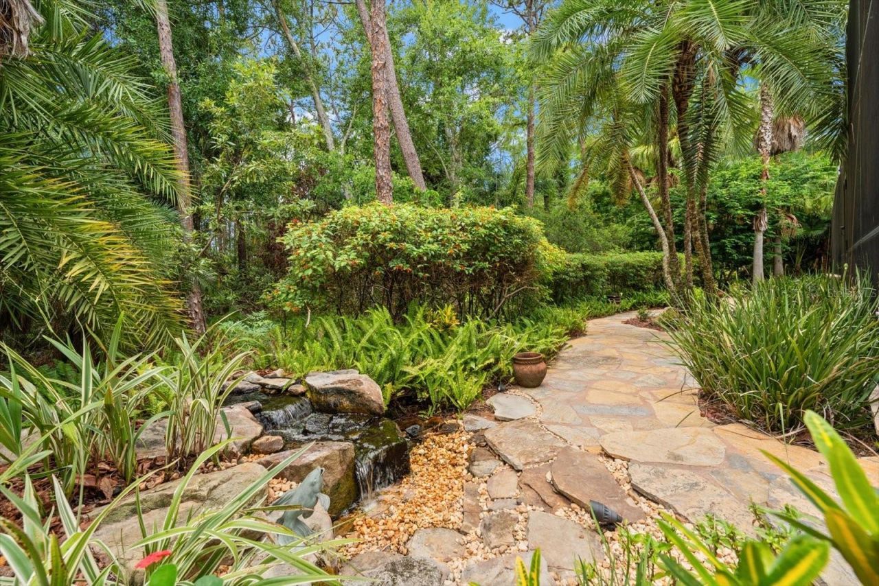 3926 Saywood Court, Palm Harbor, FL 34685 Photo