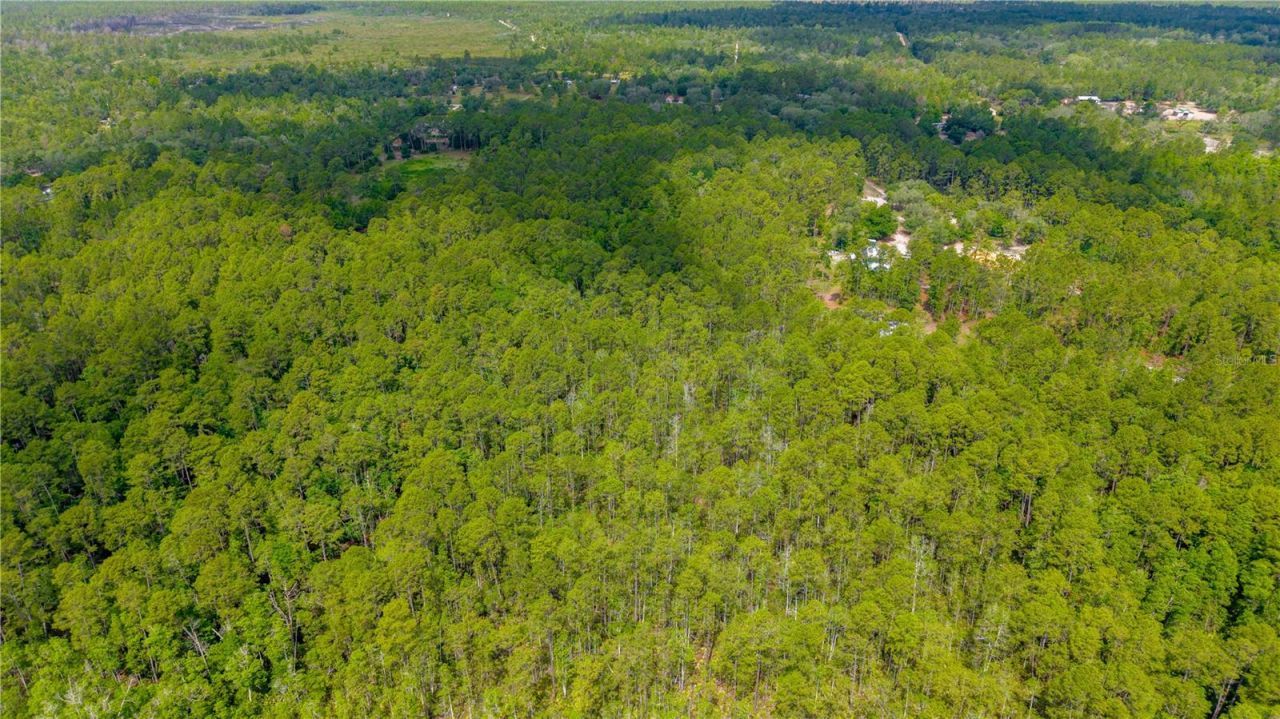 Golden Oak Lane, Keystone Heights, FL 32656 Photo