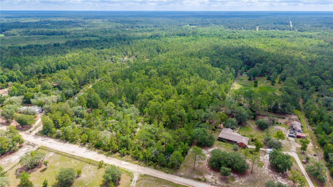 Golden Oak Lane, Keystone Heights, FL 32656 Photo