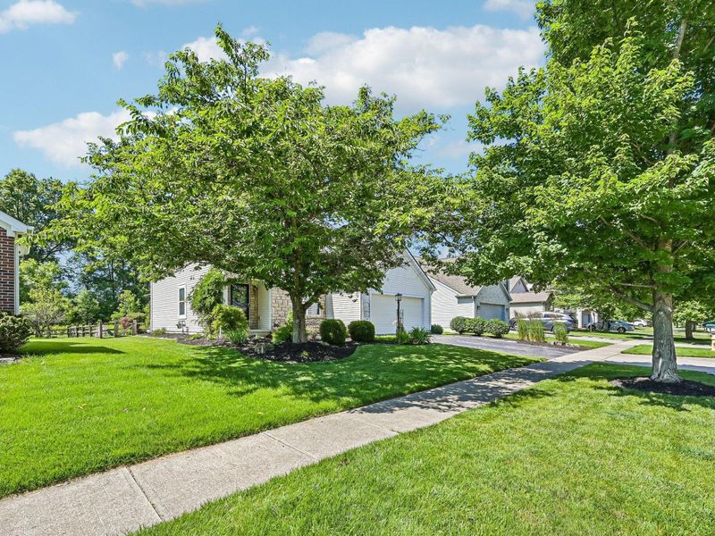 7578 Covington Springs Court, Westerville, OH 43082 Photo 3