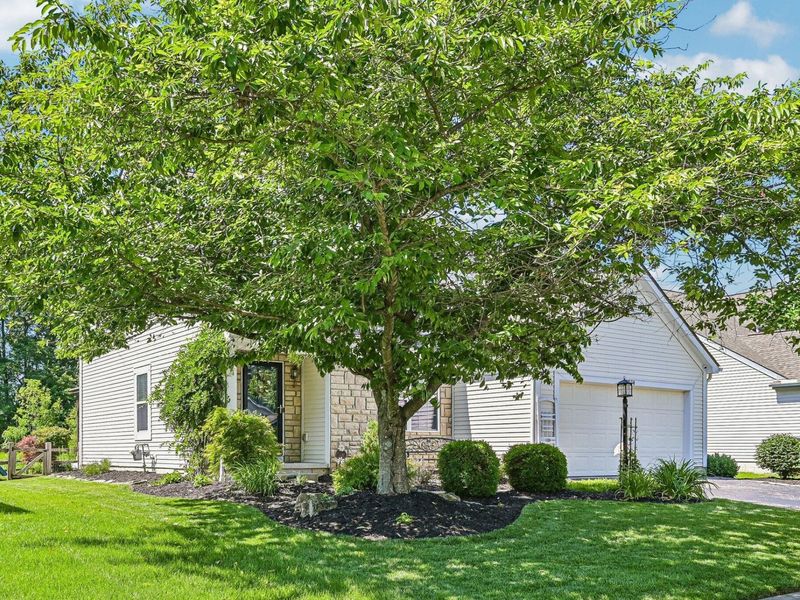 7578 Covington Springs Court, Westerville, OH 43082 Photo 4
