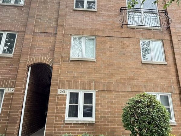 341 W 24th Street , Unit 3, Chicago, IL 60616