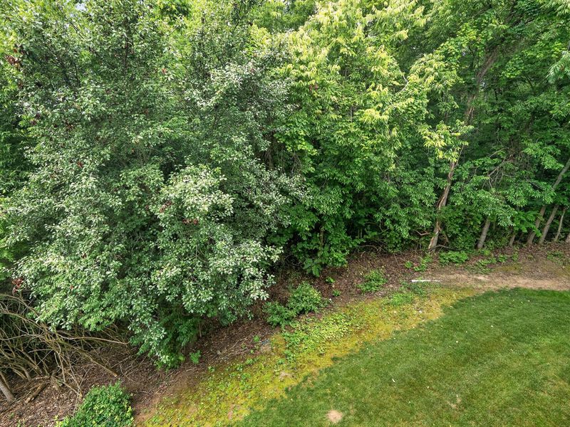 588 Ivy Ridge Drive, Newport, KY 41076 Photo 21