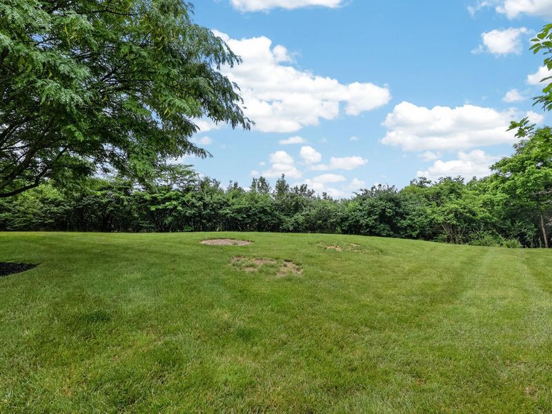 588 Ivy Ridge Drive, Newport, KY 41076 Photo 23