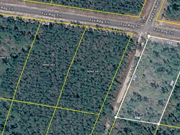 V/L 40 Fox Ridge Trail, Waynesville, GA 31566