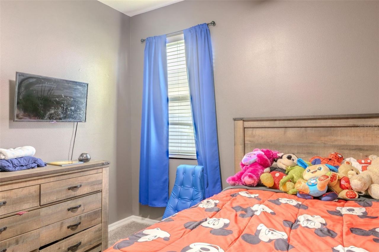 4379 Moon Shadow Loop, Mulberry, FL 33860 Photo