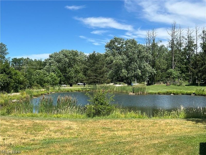 4842 Ridge Road , Wadsworth, OH 44281 Photo 48