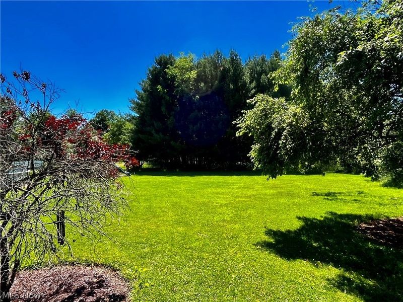 4842 Ridge Road, Wadsworth, OH 44281 Photo 48
