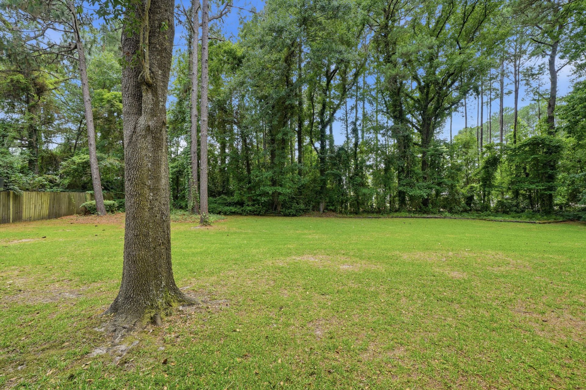 232 Canaberry Circle Photo 31