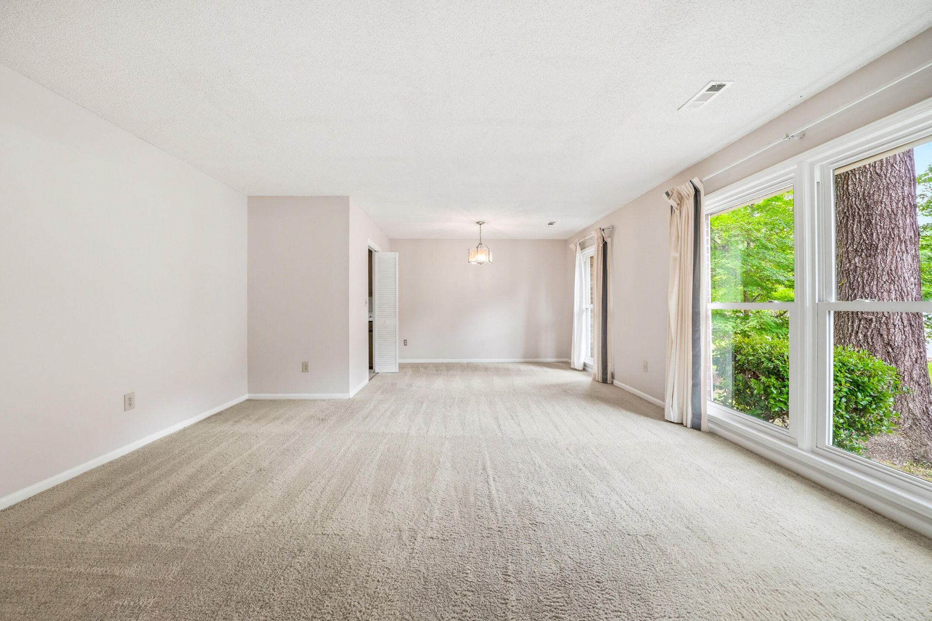 232 Canaberry Circle Photo 7