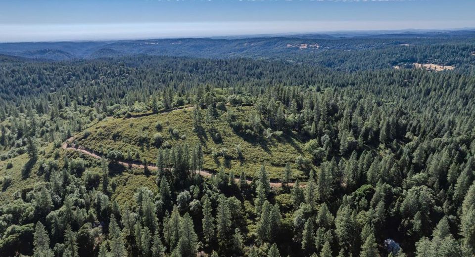 Silver Point, Pioneer, CA 95666 Photo