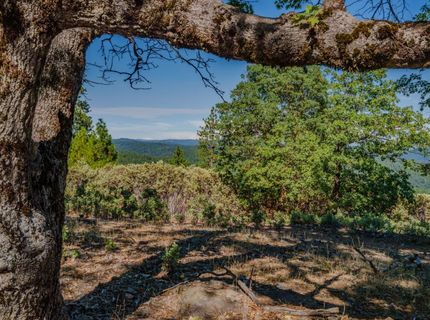 Silver Point, Pioneer, CA 95666 Photo