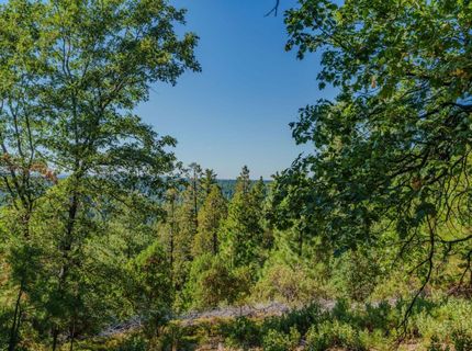 Silver Point, Pioneer, CA 95666 Photo