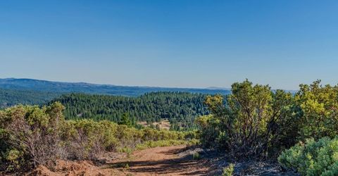 Silver Point, Pioneer, CA 95666 Photo