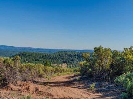 Silver Point, Pioneer, CA 95666 Photo