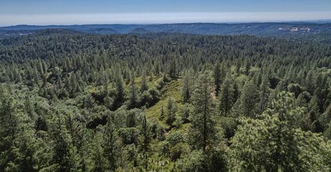 Silver Point, Pioneer, CA 95666 Photo