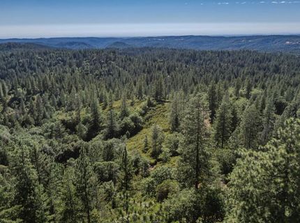Silver Point, Pioneer, CA 95666 Photo