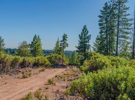 Silver Point, Pioneer, CA 95666 Photo
