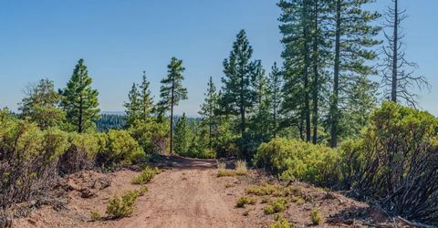 Silver Point, Pioneer, CA 95666 Photo