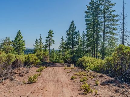 Silver Point, Pioneer, CA 95666 Photo