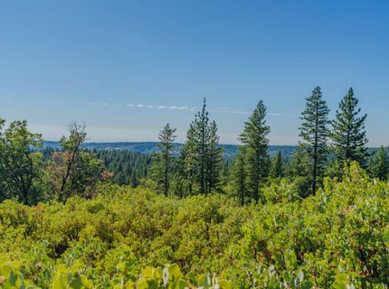 Silver Point, Pioneer, CA 95666 Photo